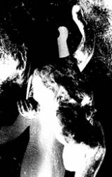 Paragon Impure : Untitled